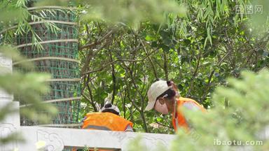 树丛中打扫卫生的女环卫工人